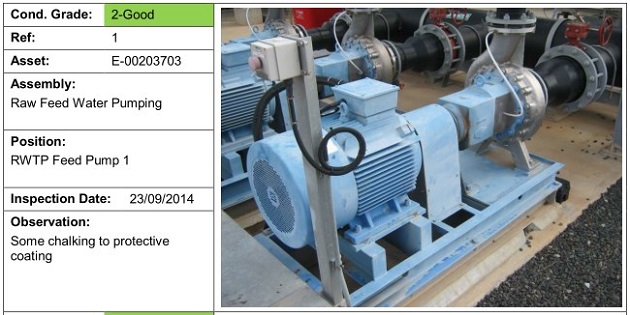 Plant Condition Assessment